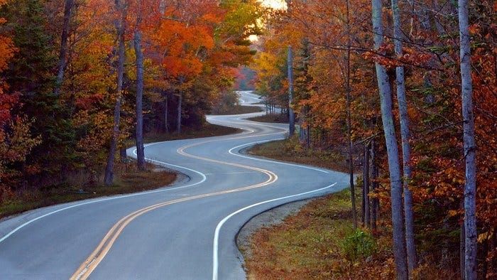 Writing and the Creative Life: Trust the Process