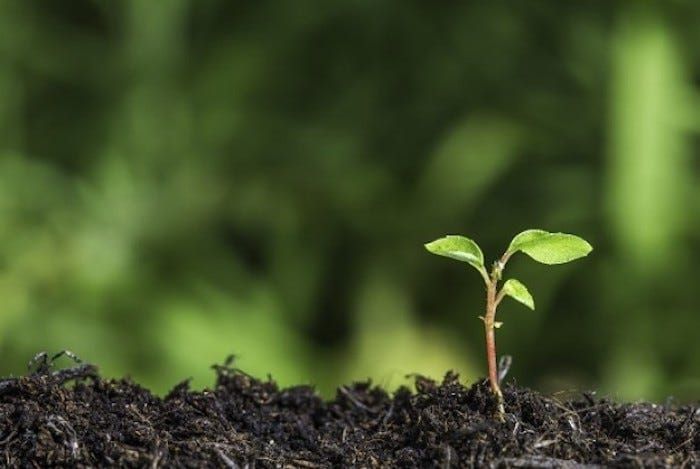 Writing and the Creative Life: Of Beginnings and Endings
