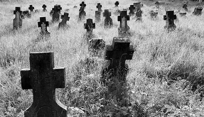 The Business of Screenwriting: The Birth, Life and Death of a Movie (Part 3)