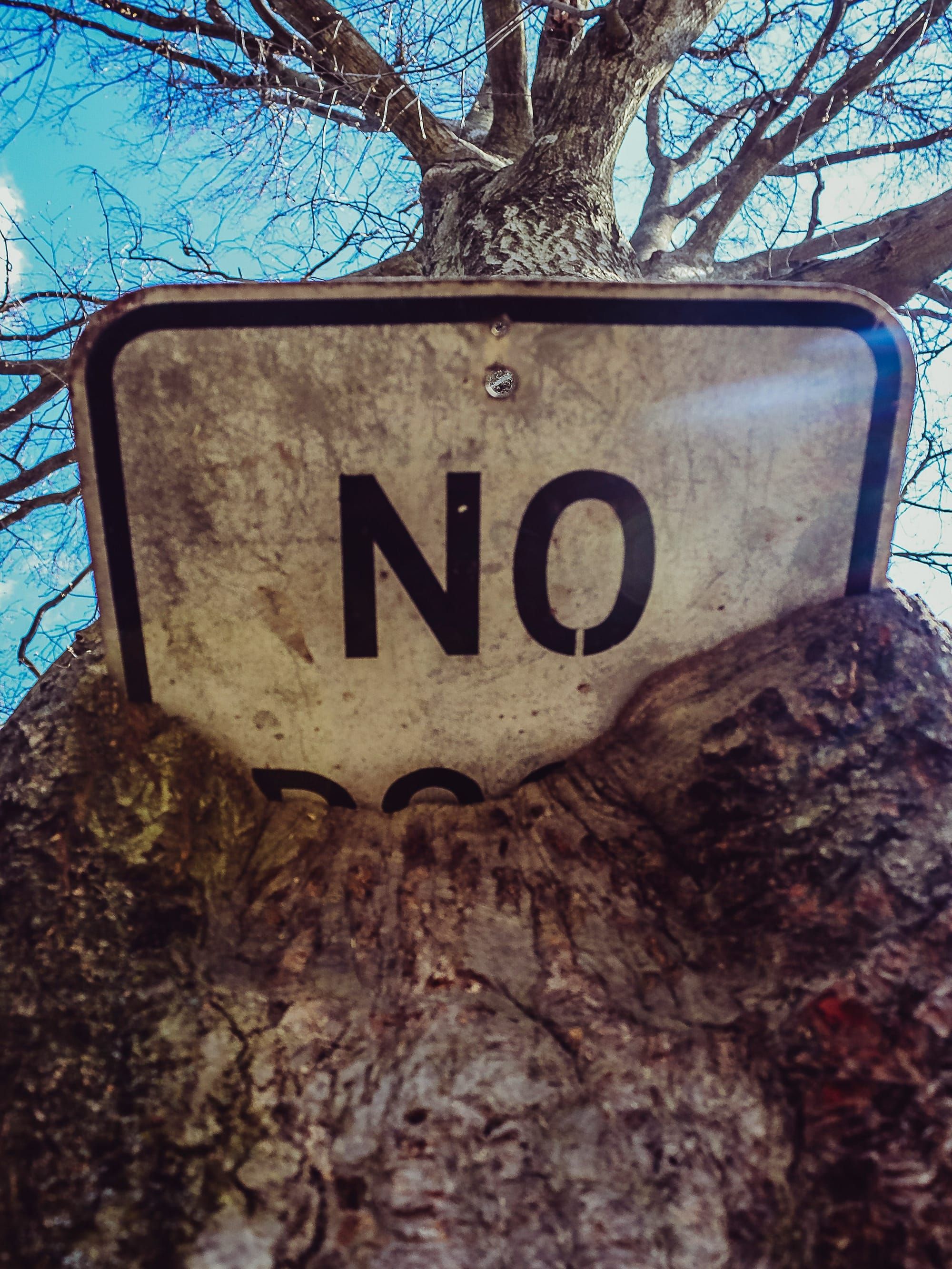 The Business of Screenwriting: The Power of “No”