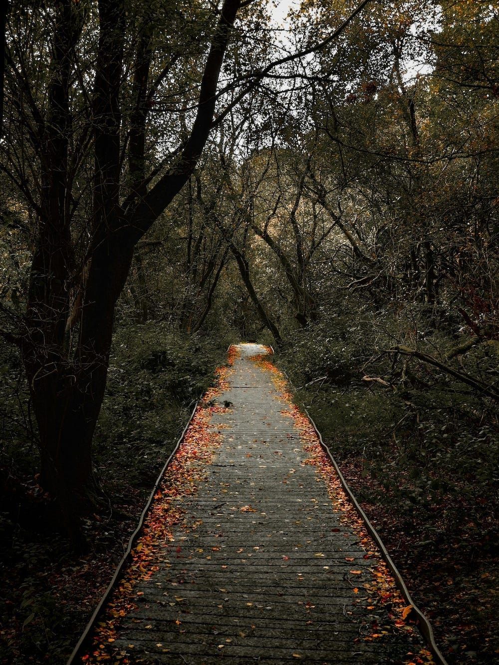 Joseph Campbell word for word on The Hero’s Journey
