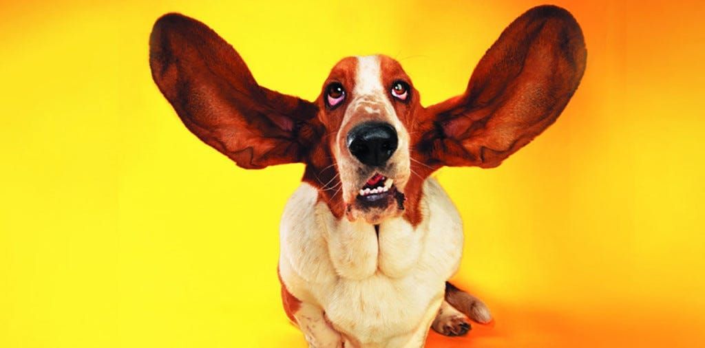 The Business of Screenwriting: “God gave you two ears and one mouth for a reason”