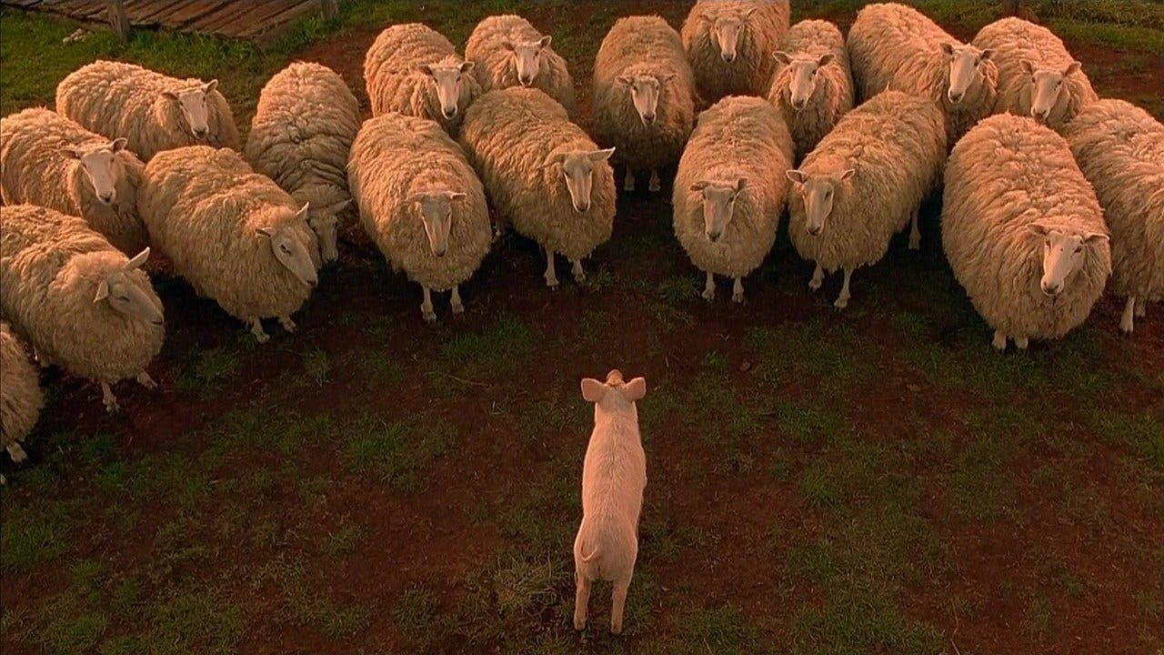 Daily Dialogue theme next week: Farm