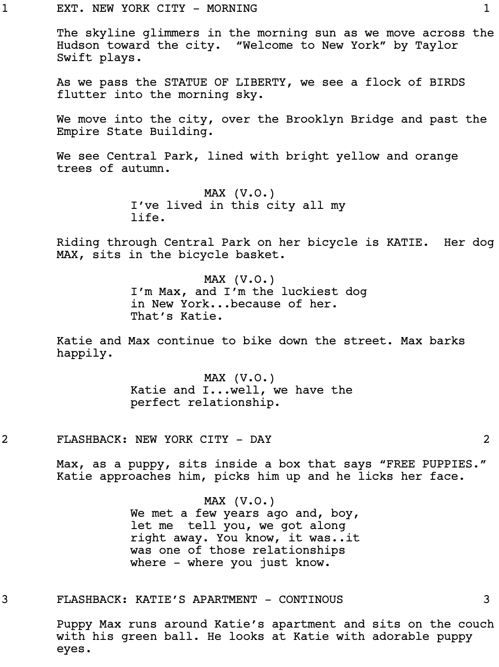 Page One: “The Secret Life of Pets” (2016)