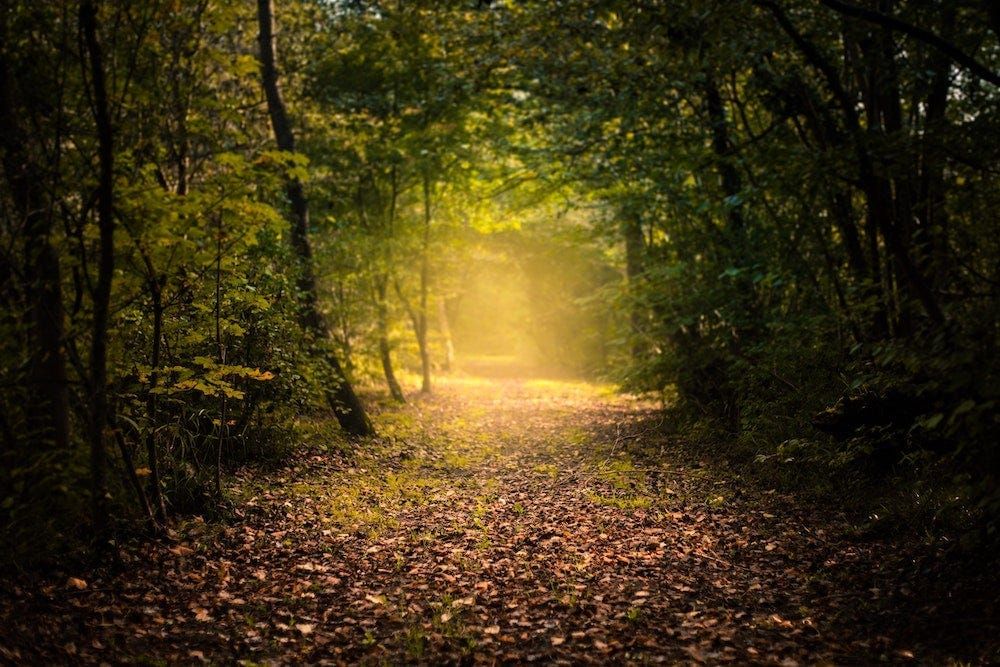 The Business of Screenwriting: The Path of Least Resistance