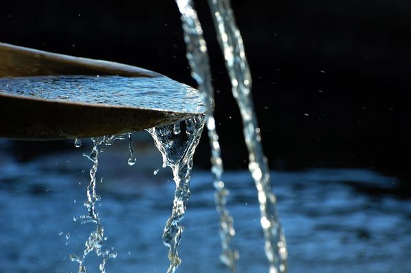 Writing and the Creative Life: Flow