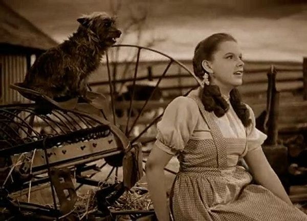 May: Classic 30s Movie Month