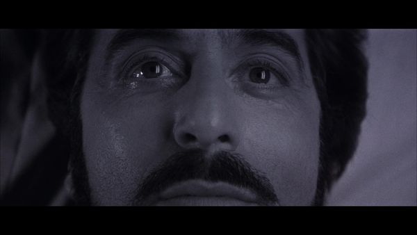 Daily Dialogue theme for next week: Famous Last Words