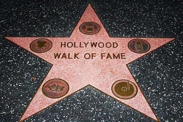 The Business of Screenwriting: Never forget who the star is