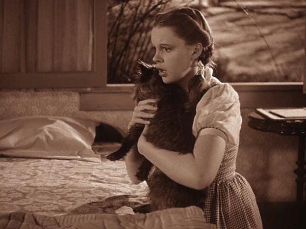 A great question to ask about your Protagonist