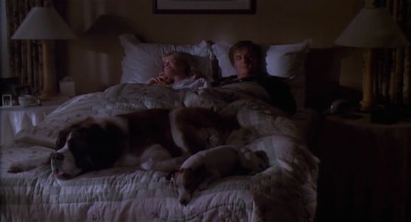 Daily Dialogue theme for next week: Pets