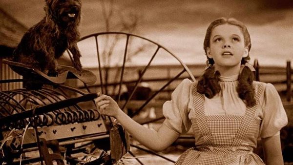 Character Archetypes: “The Wizard of Oz”