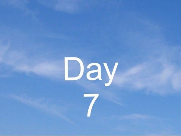 2020 Zero Draft Thirty March Challenge: Day 7