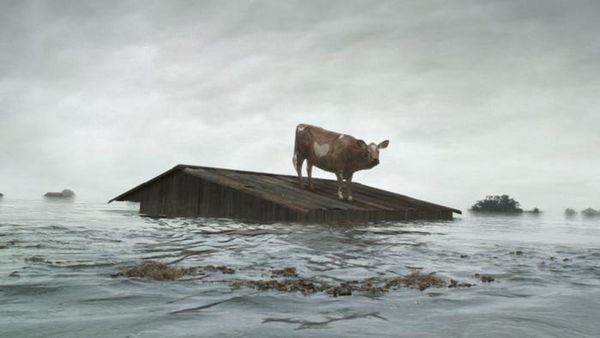 The Coen Brothers, Storytelling, and Fate