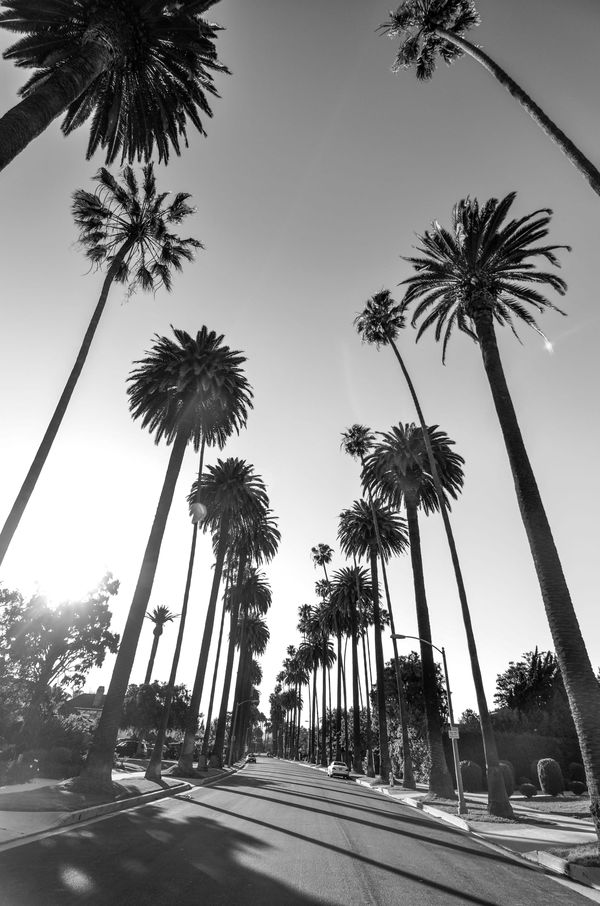 Starting a screenwriting career outside of LA (or New York, or London)