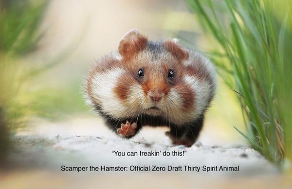 2018 Zero Draft Thirty March Challenge: FADE OUT!