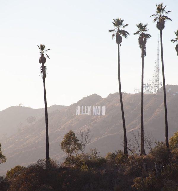 Hollywood Tales
