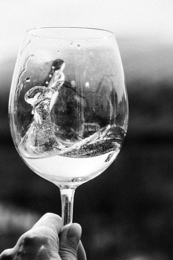 The Business of Screenwriting: Chilled Whine