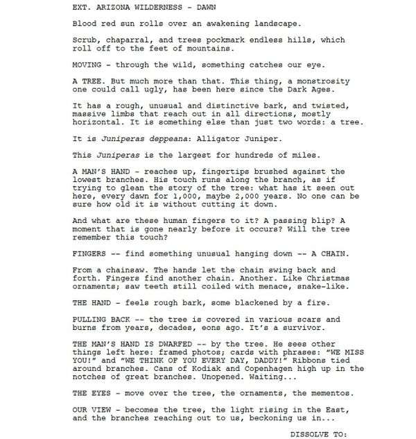 Page One: “Only the Brave” (2017)