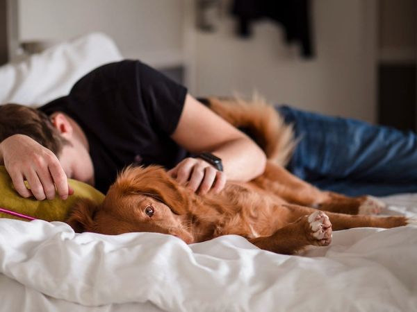 Writing and the Creative Life: One key to creativity… naps?