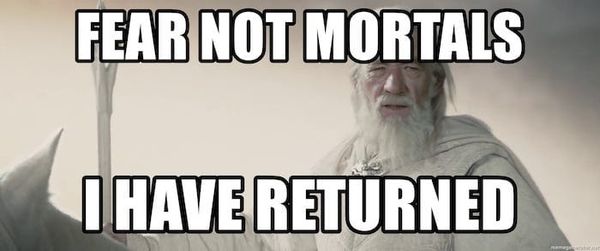 Go Into The Story — Returns!