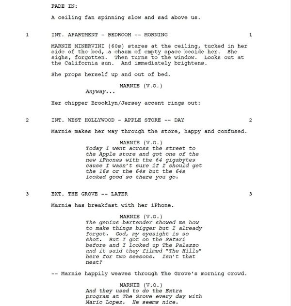 Page One: “The Meddler” (2015)