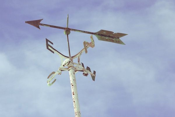 The Business of Screenwriting: Weather Vanes