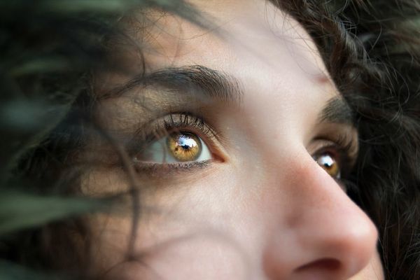 Writing Aids: 90 Words for “looks” and 115 Words for “walks”