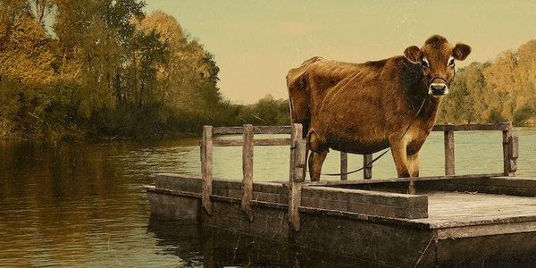 Script Analysis: “First Cow” — Part 5: Dialogue
