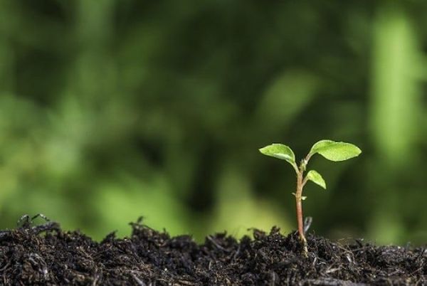 Writing and the Creative Life: Of Beginnings and Endings
