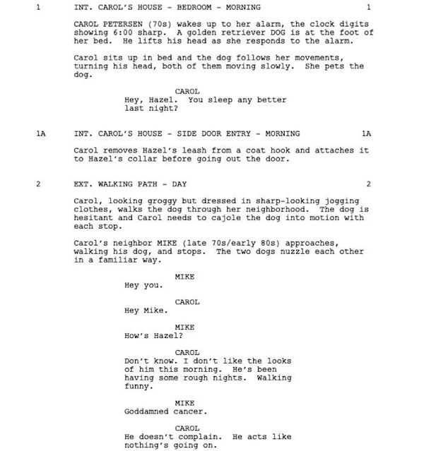 Page One: “I’ll See You in My Dreams” (2015)