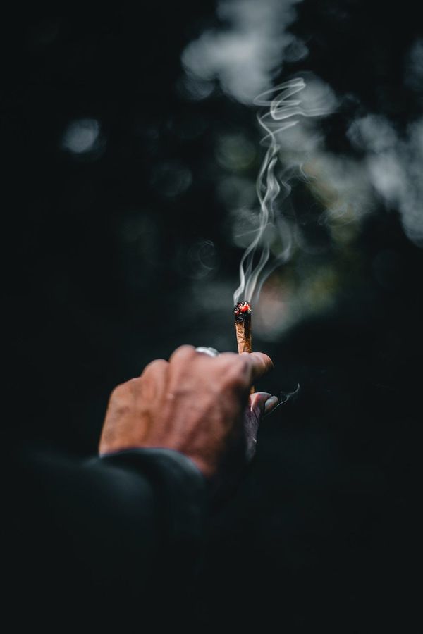 ChatGPT does a stoner movie scene