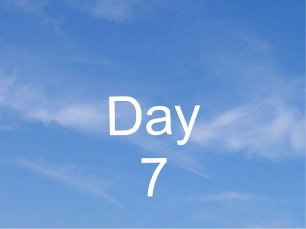 2019 Zero Draft Thirty March Challenge: Day 7