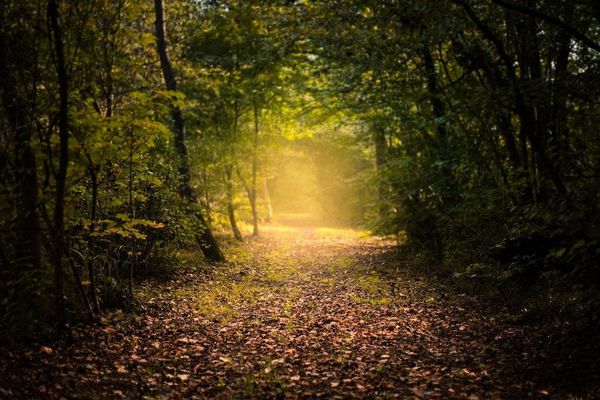 The Business of Screenwriting: The Path of Least Resistance