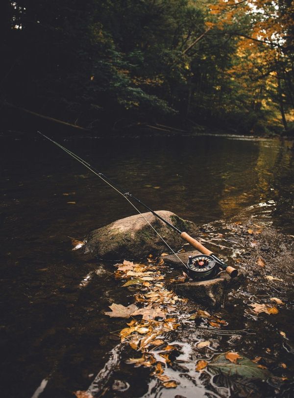 The Business of Screenwriting: Don’t stand in water where you should be fishing