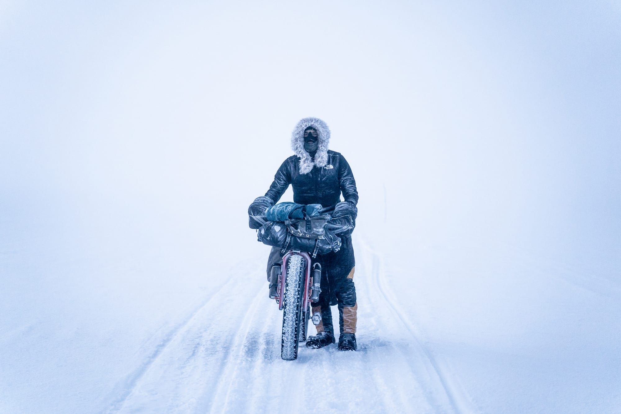 Road To Iditarod - A Shared Journey of Perseverance and Purpose