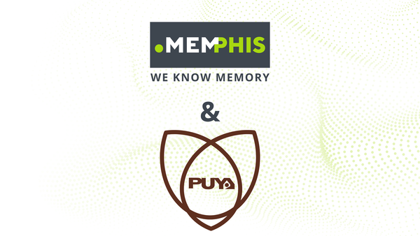 MEMPHIS Expands its Linecard with NOR Flash and EEPROM Solutions from Puya Semiconductor