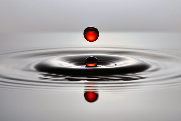 MICRO-CASE STUDY: Real-time example of the earned media 'ripple effect' in action