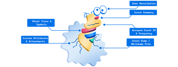 What Is in a Crash Report?