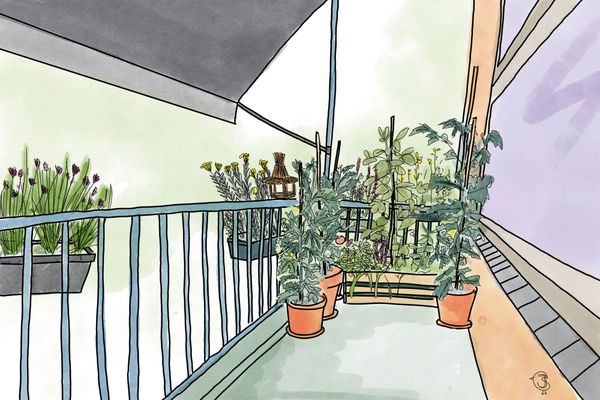 Building a plant irrigation system. How it started - part one