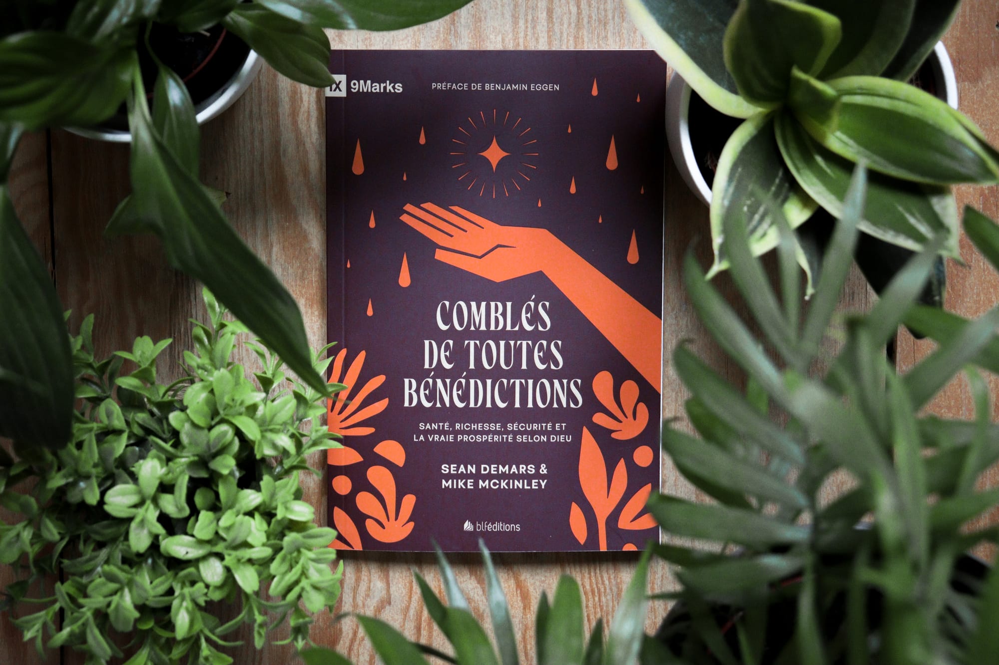 Nouveau livre gratuit : août 2025