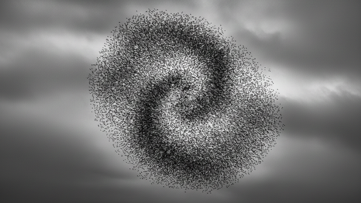 The Science of Digital Persuasion