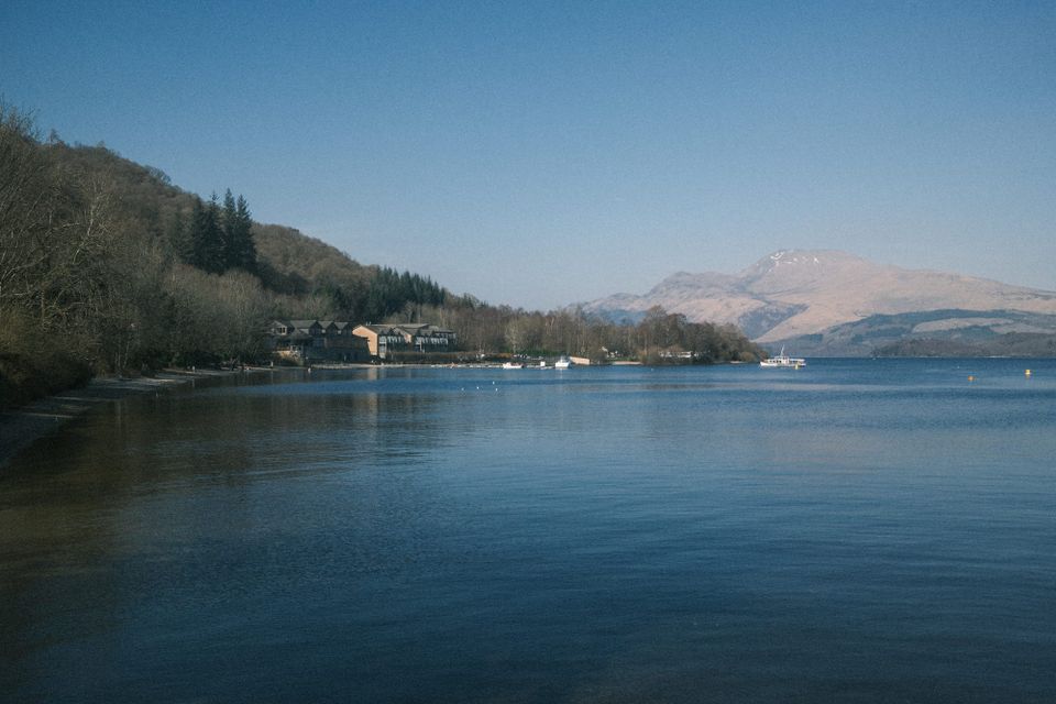 Fake Spring photos 📸