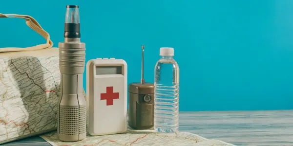Wildfire emergency kit essentials for evacuation.