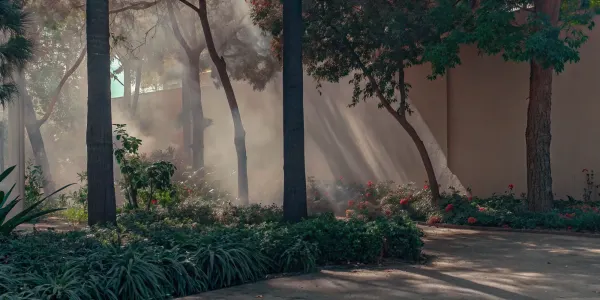 A beautiful landscape of fire resistant plants and trees designed for home safety.