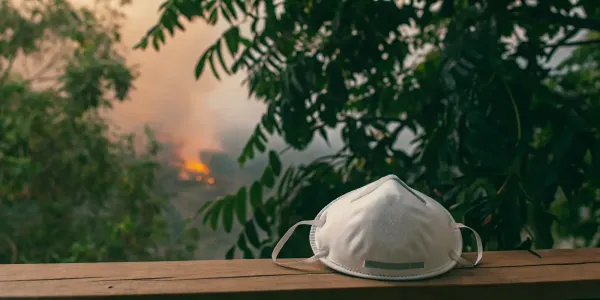 One of the best N95 masks for protection against wildfire smoke.