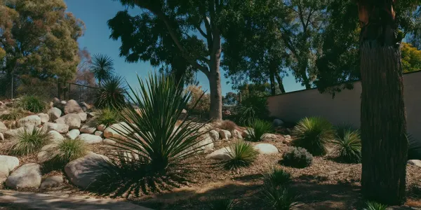 Cold-hardy zone 1 plants and shrubs thriving in a rocky garden with protective mulch.