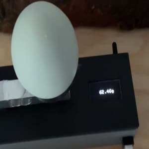 Egg Assistant