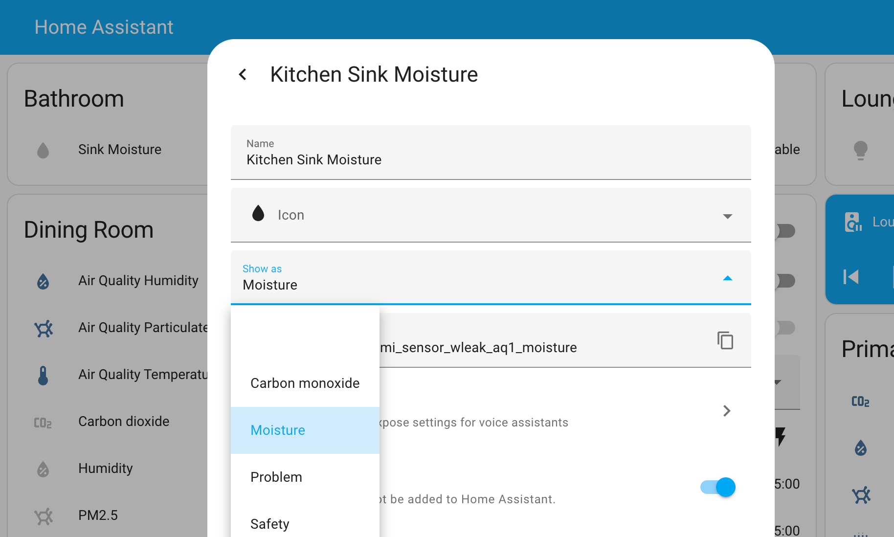Screenshot of the edit entity dialog in Home Assistant.