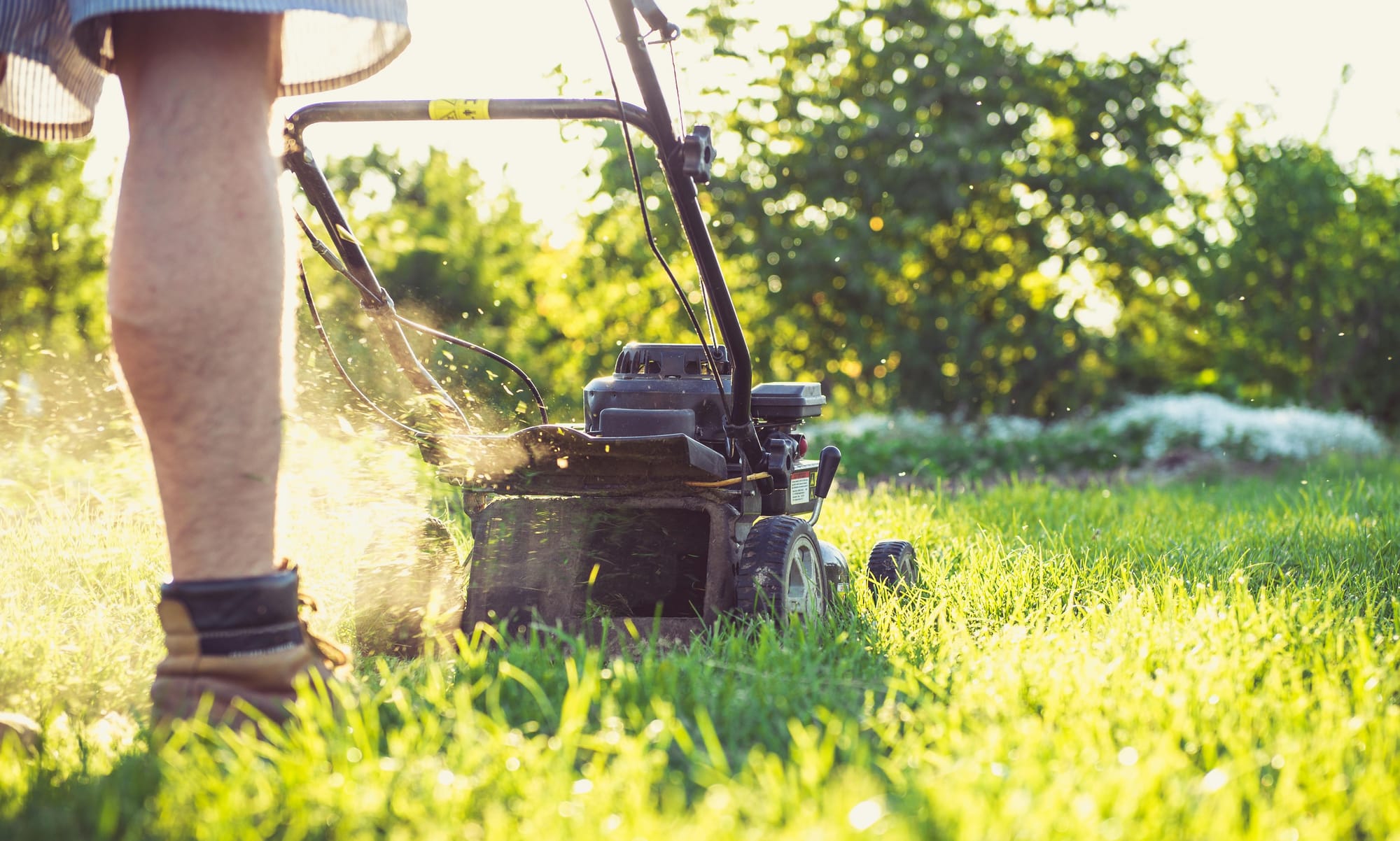 A close up of a lawnmower being pushed over grass.
